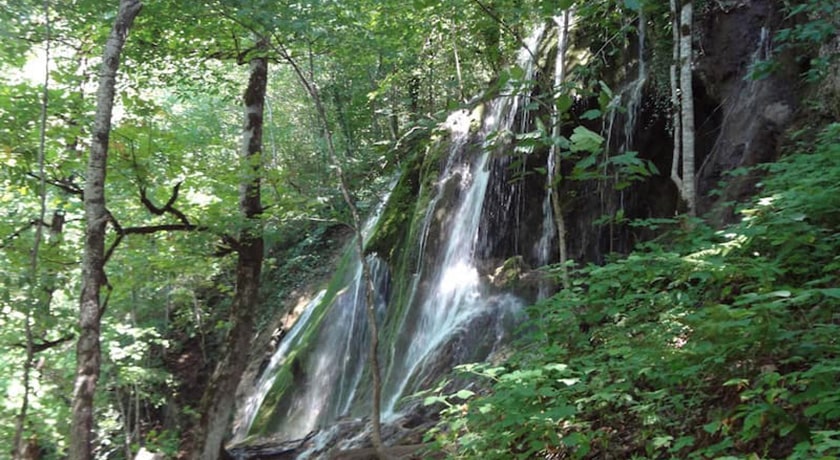  جنگل بولا شهرستان مازندران استان ساری