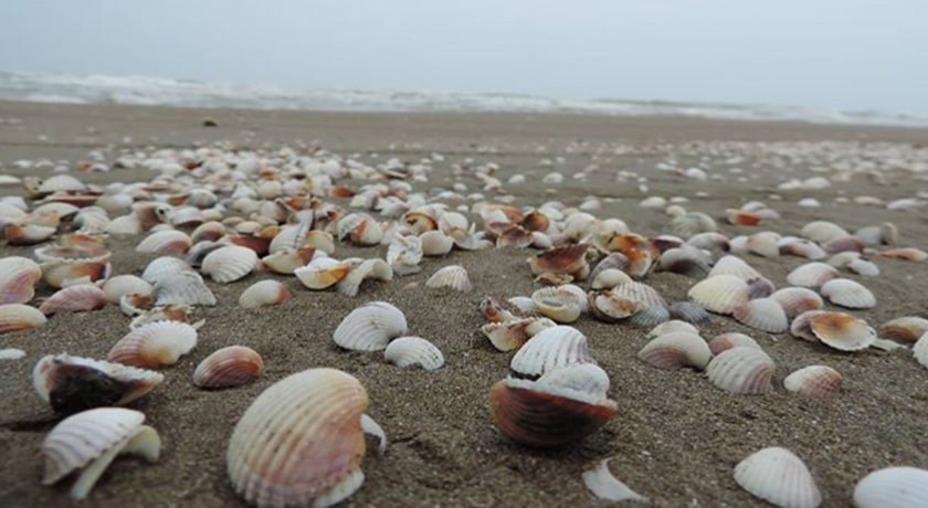  ساحل گهرباران شهرستان مازندران استان ساری