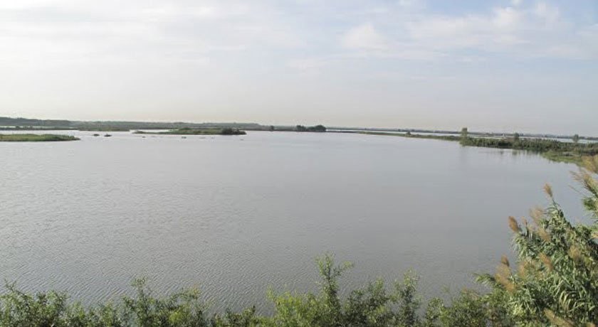  تالاب سراندون و بالندون شهرستان مازندران استان ساری