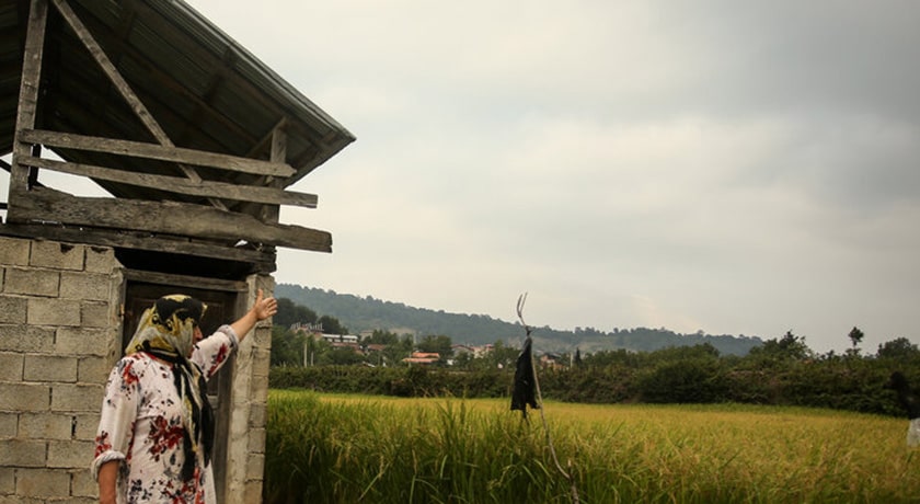  روستای آقمشهد شهرستان مازندران استان ساری
