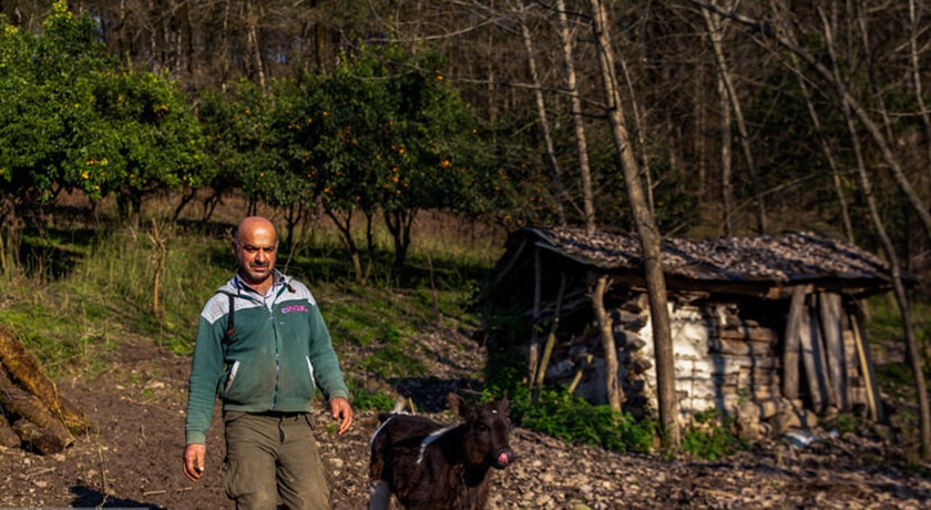 روستای اسبوکلا شهرستان مازندران استان ساری