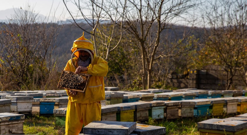 روستای اسبوکلا -  شهر مازندران