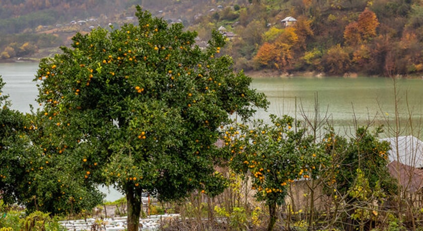  روستای اسبوکلا شهرستان مازندران استان ساری