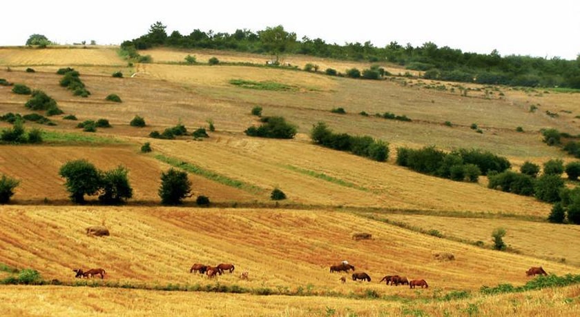  روستای پاشا کلا شهرستان مازندران استان ساری