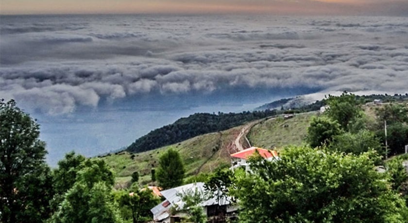  جنگل نارنجلو شهرستان مازندران استان بابل