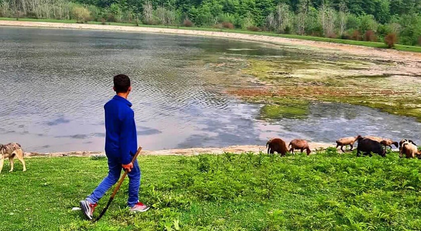 دریاچه کامی کلا -  شهر بابل