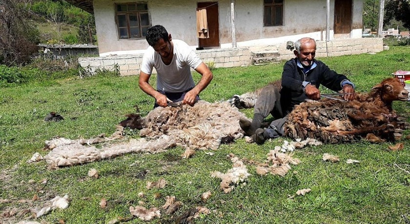  روستای برنت شهرستان مازندران استان پل سفید