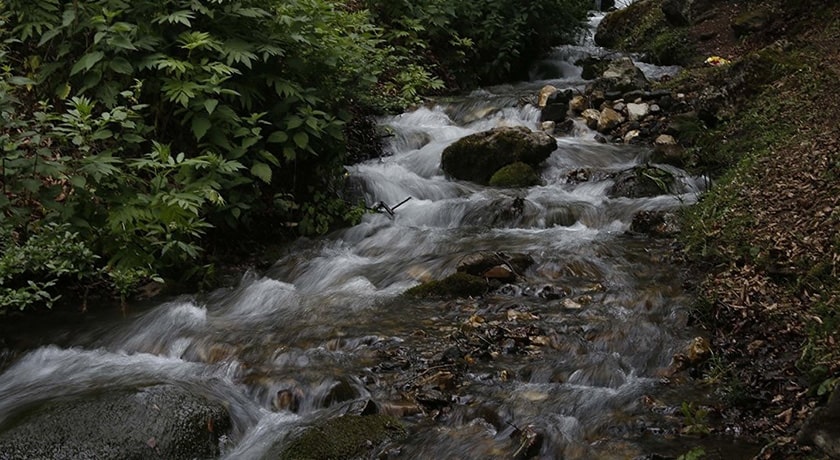  روستای برنت شهرستان مازندران استان پل سفید