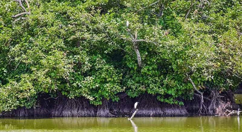  تالاب استیل شهرستان گیلان استان آستارا