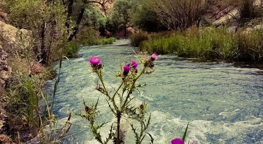  دره زمان شهرستان مازندران استان آمل