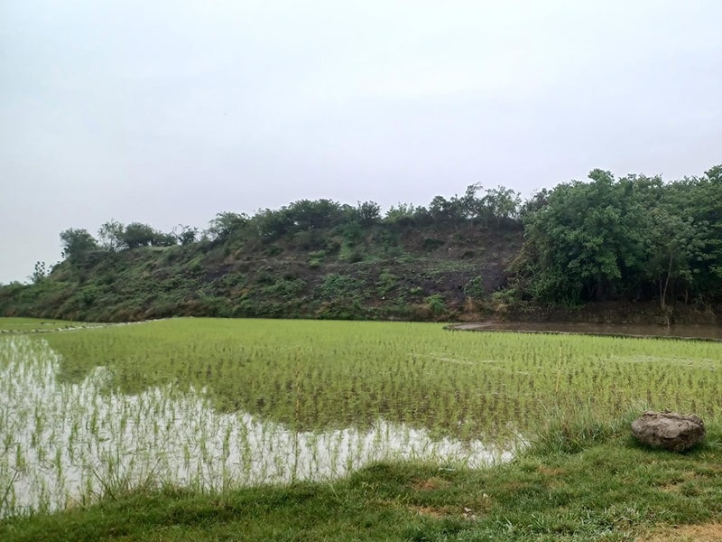  تپه قلعه کش شهرستان مازندران استان آمل