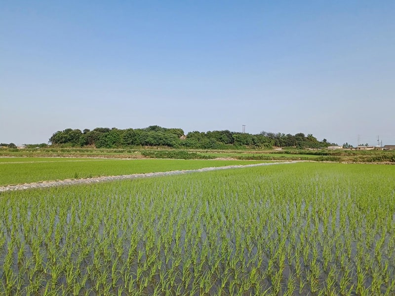 تپه قلعه کش -  شهر مازندران