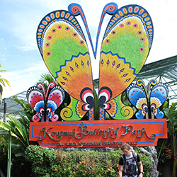 پارک پروانه کمنو بالی