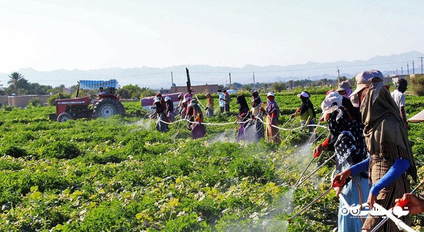 استان مازندران در کشور ایران - توریستگاه