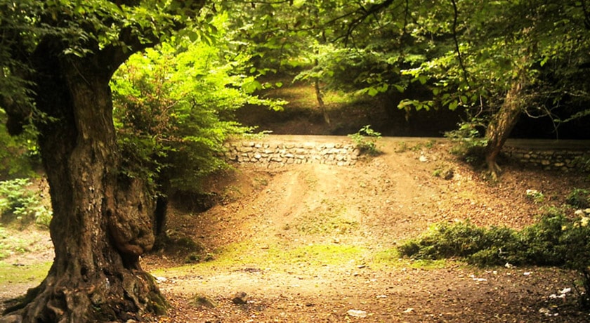 شهر بابل در استان مازندران - توریستگاه