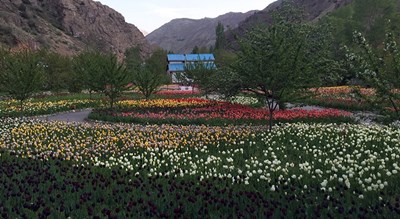 شهر کرج در استان البرز - توریستگاه