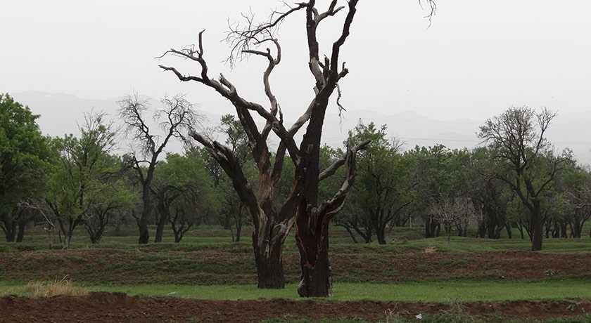 شهر قزوین در استان قزوین - توریستگاه