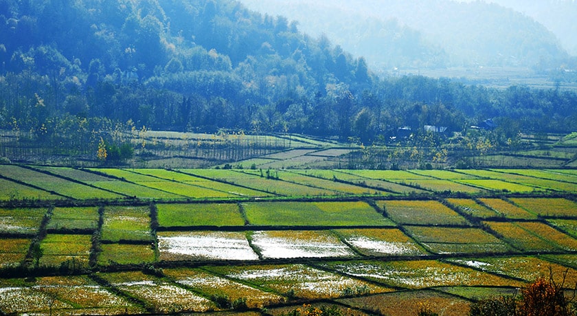 شهر سیاهکل	 در استان گیلان - توریستگاه