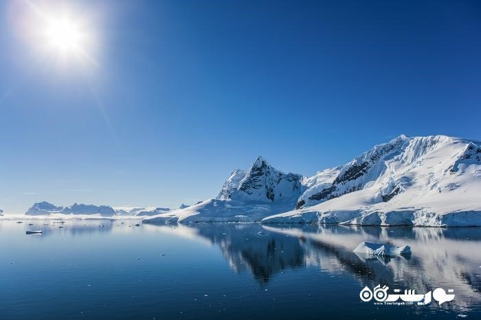 اگر از علاقمندان حیات وحش و طبیعت هستید، به قطب جنوب بروید