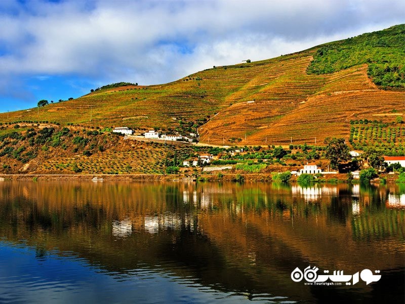 دره دورو، پرتقال (Douro Valley, Portugal)