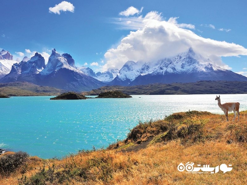 5. شیلی یکی از مقاصدی برای تعطیلات که ناجی کره زمین به شمار می روند