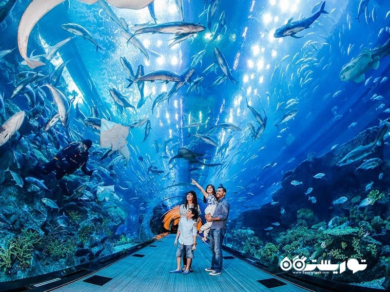 4-آکواریوم دبیDubai Aquarium 
