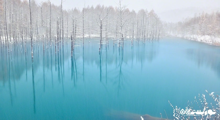 تصاویر فوق العاده دریاچه بلو در  ژاپن 