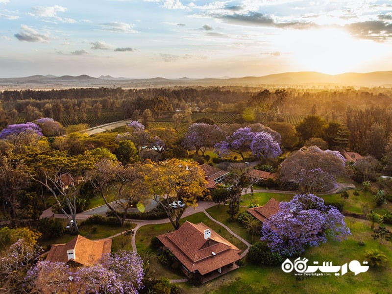 آروشا، تانزانیا یکی از بهترین مقاصد گردشگری در سال ۲۰۲۶