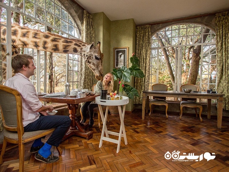 زرافه ها مِنور (Giraffe Manor)، لانگاتا، کنیا