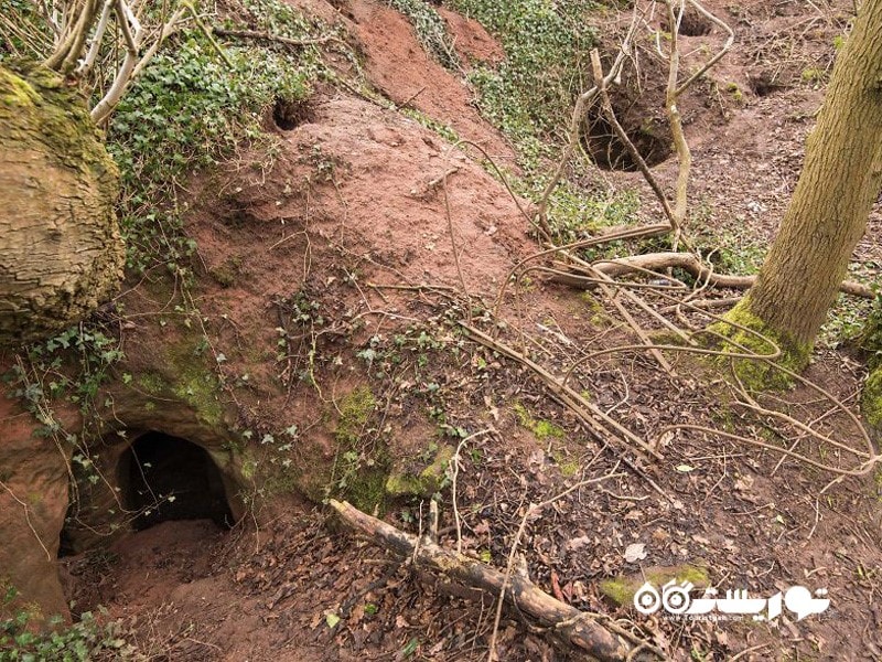 این حفره خرگوشی همان ورودی مرموز شبکه غارهای 700 ساله است.