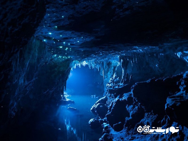 غارهای وایتومو (Waitomo Caves)