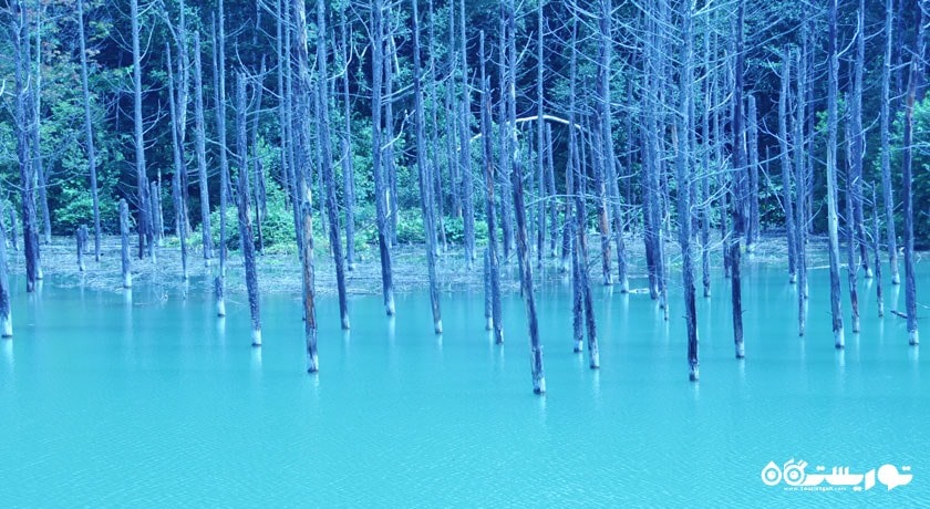 دریاچه خارق العاده بلو در بی اِی ژاپن