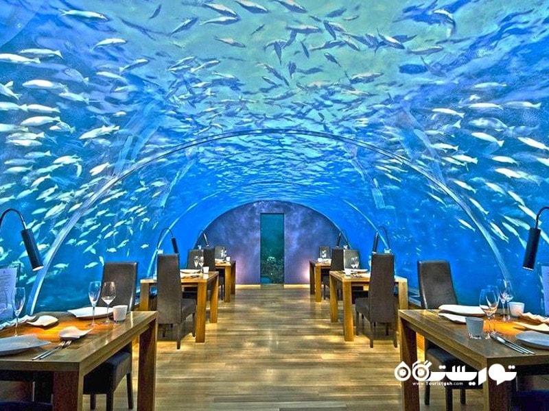 8.رستوران زیر دریایی ایتا (Ithaa Undersea Restaurant)، مالدیو