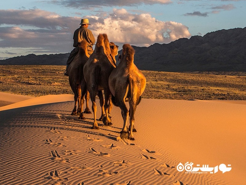 3. بیابان گوبی (Gobi Desert)