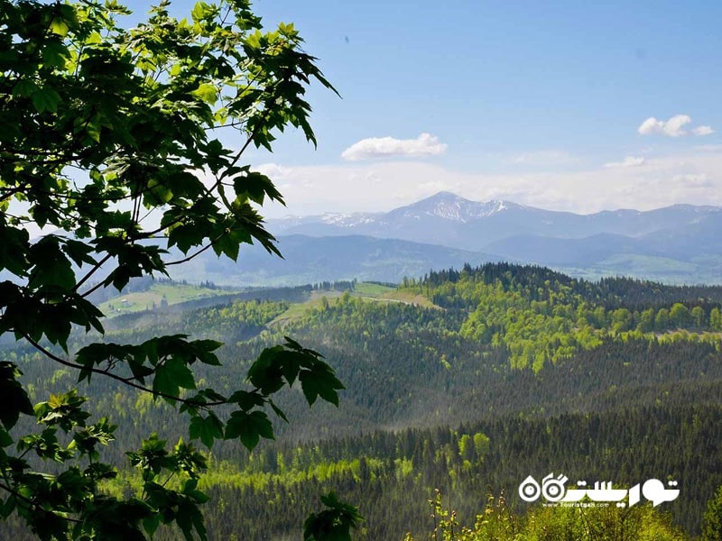 کوه های کارپات (Carpathian Mountains) در اوکراین