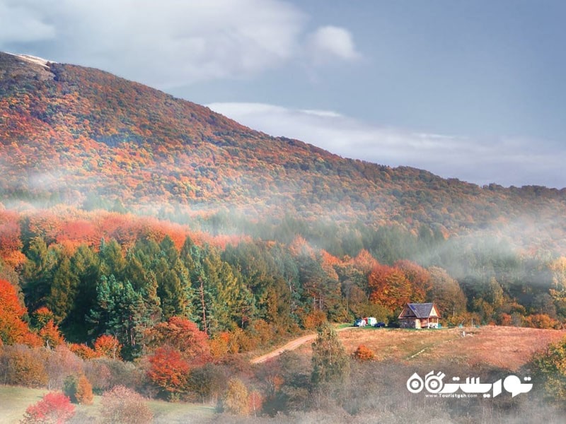 ۱۳. پارک ملی بیشادی (Bieszczady National Park)