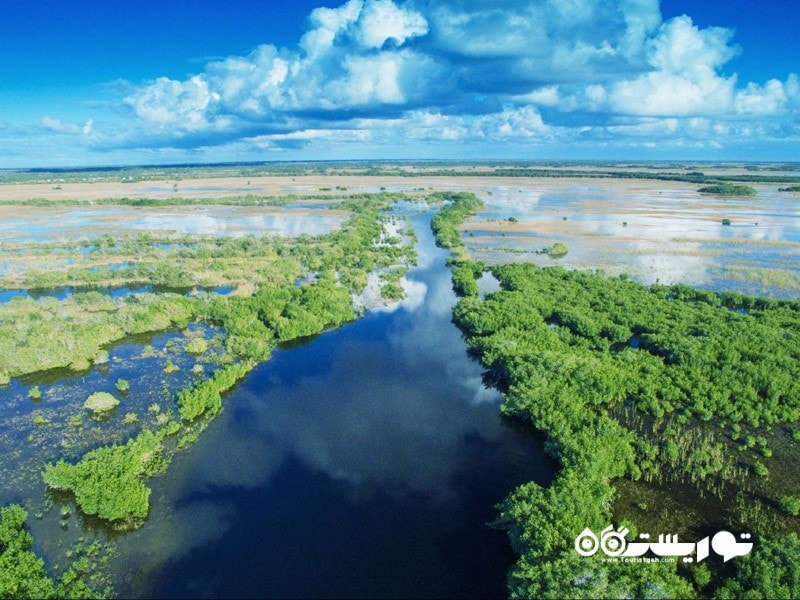 9. اورگلیدز (Everglades)، فلوریدا