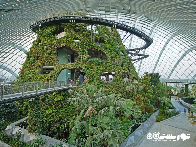 باغهای طبیعت زیبا در شهر سنگاپور 