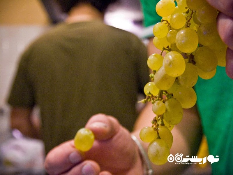 مراسم خوردن انگور در کشور اسپانیا