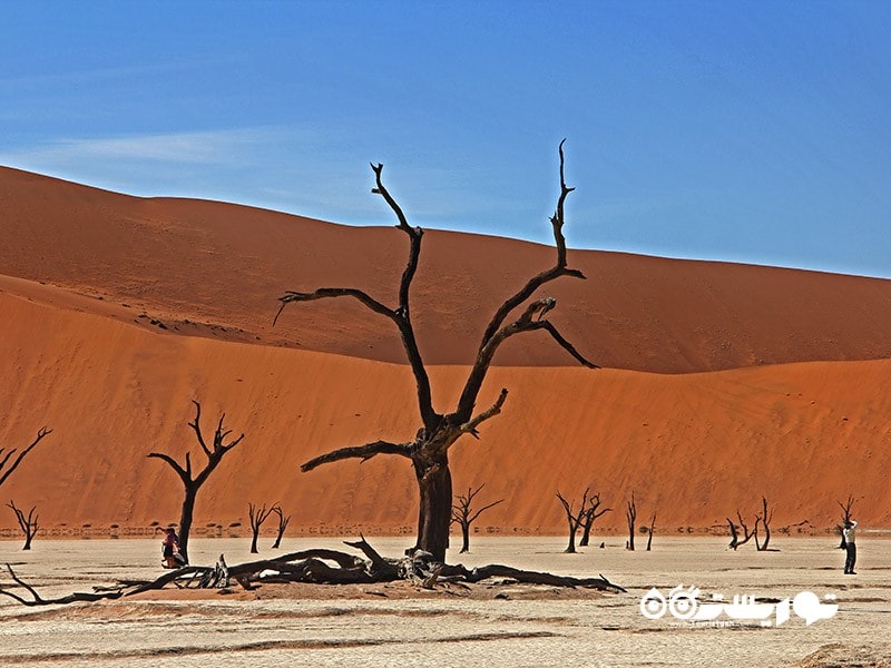 1. صحرای نامیب (Namib)