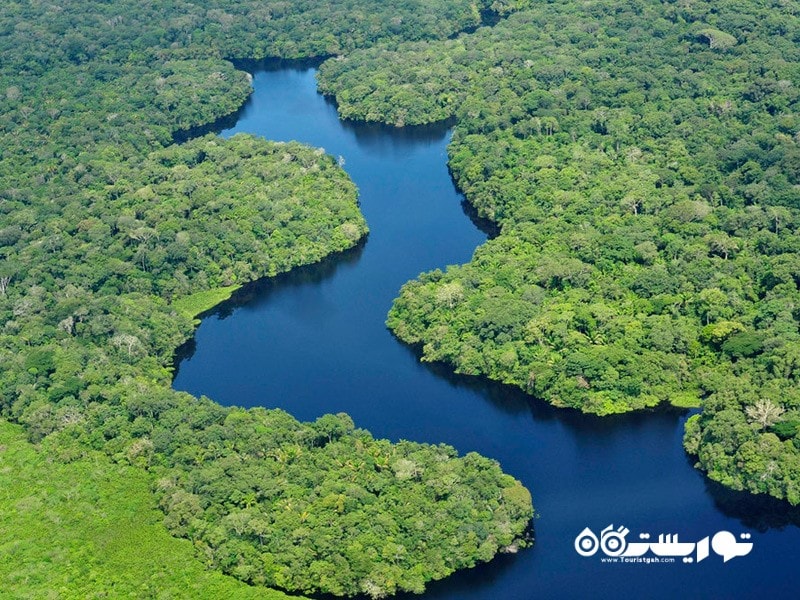 18- جنگل بارانی آمازون در آمریکای جنوبی، بطور عمده در برزیل، پرو و کلمبیا