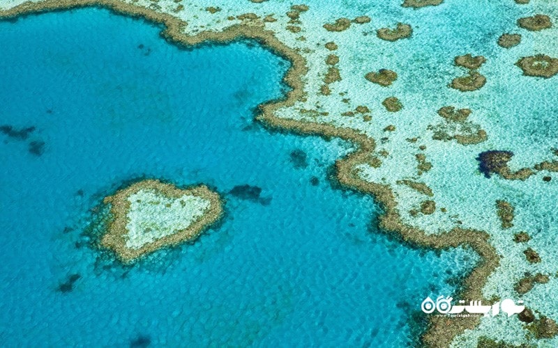 11. دیواره بزرگ مرجانی را با هلیکوپتر تماشا کنید، استرالیا