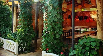 رستوران کافه باغ برکه شهر شیراز 